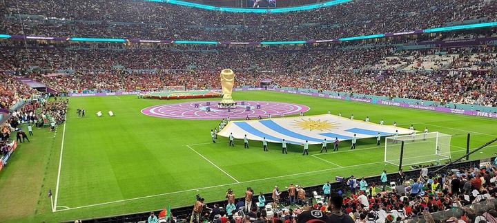 国足唯一一次进世界杯！董路：米卢根本不职业 他来中国是以邪制邪（封面配图）